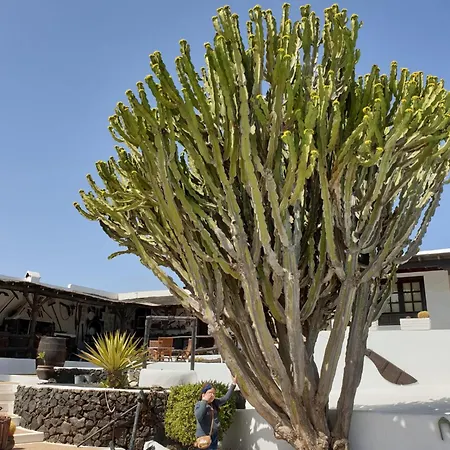 Casa Berriel 2 Holiday home