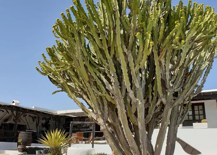 Casa Berriel 2 Holiday home